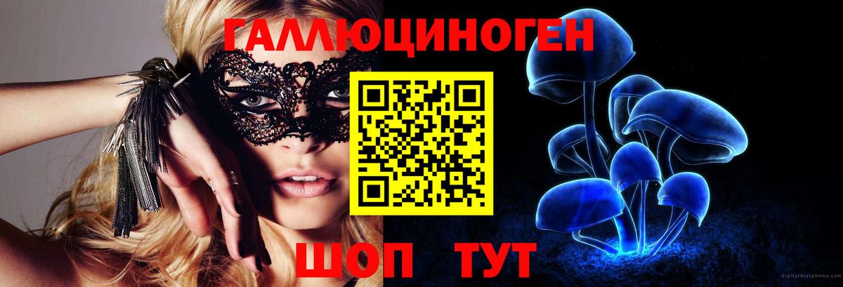 где найти наркотики  Вход с VPN  Галлюциногенные грибы ЛСД  Пенза  Галлюциногенные грибы мухоморы 